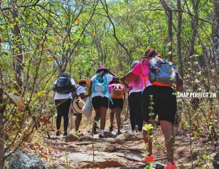A group of women hike together along a wooded trail.